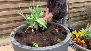 Comment faire une jardinière Choix pratique et astuces [upl. by Malha754]