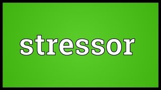 Stressor Meaning [upl. by Tallou]