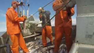 Bristol Bay Alaska The Life Of A Deckhand [upl. by Jevon40]