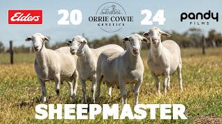 Orrie Cowie 2024 SheepMaster PreSale video [upl. by Leunamesoj]