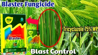 Blaster fungicide  Tricyclazole 75 WP  Paddy Wheat Sugarcane Maize Blast Disease Control [upl. by Tompkins]