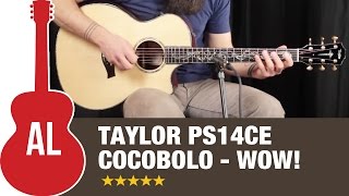 Taylor PS14ce Cocobolo  Wow listen to this guitar [upl. by Arny]