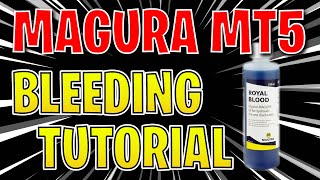 DIY Magura MT5 MT brake bleeding procedure 🛠️ Tutorial for beginners like me [upl. by Concoff]