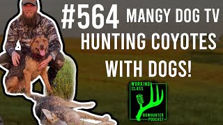 Mangy Dog TV 564 workingclassbowhunter [upl. by Rind]