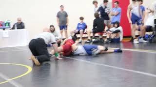 Girl vs Boy Dawg Duals Wrestling Tournament [upl. by Molton]