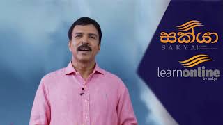 Learn online in Sri Lanka [upl. by Ynaffets]