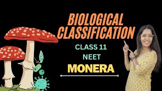 BIOLOGICAL CLASSIFICATION  CLASS 11 NEET  MONERA [upl. by Malilliw103]