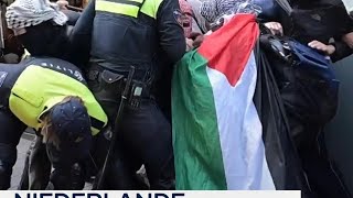 Niederlande Polizeigewalt bei GazaDemo [upl. by Janith]