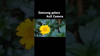 Samsung galaxy a03 camera testcamera blog [upl. by Nnylorac]