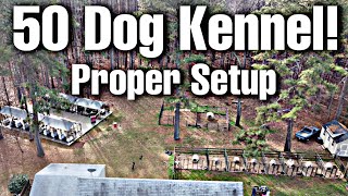 Proper kennel setup ideas [upl. by Dawkins822]