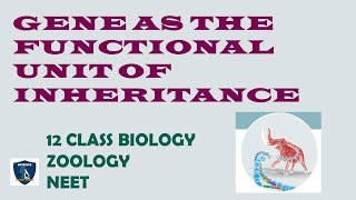 Gene as the Functional unit of inheritance  Molecular Genetics 12 Class  Zoology [upl. by Enelrac]