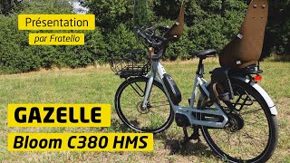 GAZELLE REVIEW 2 I Le vélo cargo Bloom C380 HMS  lavis de Fratello [upl. by Lightman]