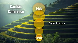 Cardiac Coherence  5 minute exercise breathing [upl. by Eetnuahs]