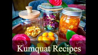 Kumquat Recipes [upl. by Lindon]