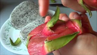 How to Prepare and Eat a Dragon Fruit [upl. by Yarahs]