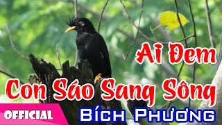 Ai Đem Con Sáo Sang Sông  Bích Phượng Official MV HD [upl. by Senecal598]