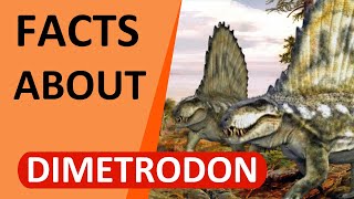 Facts About Dimetrodon  The DinosaurLike Mammal  2020Outdated [upl. by Christmann]