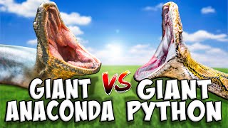 Anaconda vs Giant Python [upl. by Sherwood788]