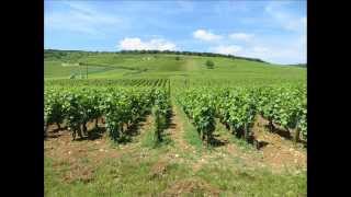 Domaine de la Romanée Conti Vosne Romanée  Borgoña [upl. by Khosrow]