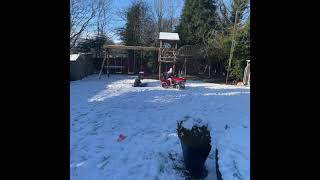 Fun with the Massey in the snow [upl. by Campney]