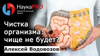 Чистка организма чище не будет  Большая лекция – врачтоксиколог Алексей Водовозов  Научпоп [upl. by Novad]