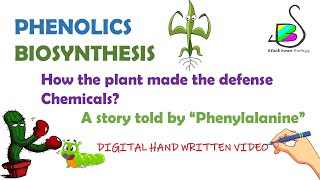 PHENOLICS SYNTHESIS  Secondary metabolites  Plant physiology  CSIR Life science [upl. by Assirolc991]