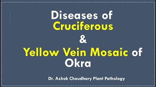 Diseases of Cruciferous and Yellow Vein Mosaic of Okra [upl. by Mazel]