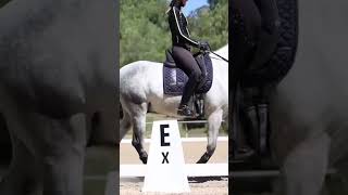 Lateral Work for Relaxation horseriding equestrian dressage [upl. by Nraa]