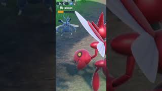 Scizor vs heracross [upl. by Foy]