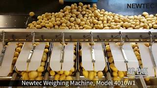 NEWTEC 4010W1 Bulk Weigher for Extremely Large Portions and Products [upl. by Magner25]