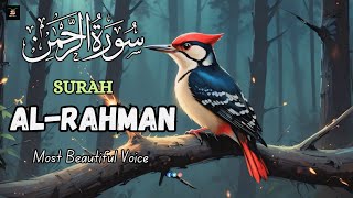 SURAH AL RAHMAN سورة الرحمن  Peace In Listening Quran Verse  Quran Al Shifa Tv [upl. by Krispin]