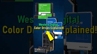 WD Drive Colors Demystified Find Your Perfect Fit [upl. by Refannej]