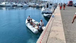 Balenottera morta a Muggia tecnici al lavoro a Porto San Rocco [upl. by Aivull]