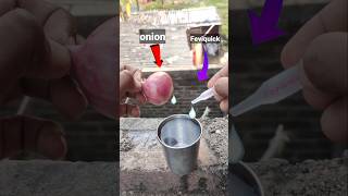 Onion and Fevikwik science experiment😱👻shortsviralshort viralreels trending experiment [upl. by Robet]