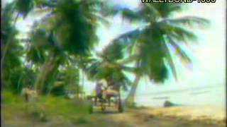 LUIZ CALDASTIETAVIDEO ORIGINAL 1990 HQ [upl. by Herrington576]