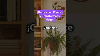 ¡Decora con Plantas y Transforma tu Hogar [upl. by Nevear]