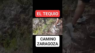 EL TEQUIO  Camino de Zaragoza MOTOZINTLA CHIAPAS  4D FAMâ–¶ [upl. by Seibold]