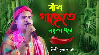 বাঁশ গাছেতে লংকা ধরে তেতুল গাছে ঝিঙে  Ekta Bash Gachete Lanka Dhare  krishna kanai Dehotatto Baul [upl. by Ecnarual]