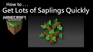 How To Get Lots of Saplings Quickly Minecraft Java [upl. by Mcnelly570]