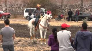 Vispera De La Fiesta de Peñuelas 2012 Parte3 Las Palomas [upl. by Dahsra477]