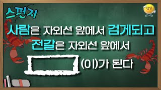 놀라운 실험 결과 전갈은 정말 독毒한 동물입니다＞﹏＜′ 스펀지레전드  KBS 041106 방송 [upl. by Alegna]