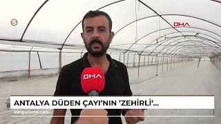 ANTALYA Düden Çayının zehirli suyu seralardaki mahsulü kuruttu [upl. by Anayad]