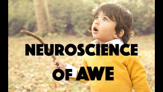 The Neuroscience of Awe  Review of Dr Dacher Keltners book Awe [upl. by Malin]