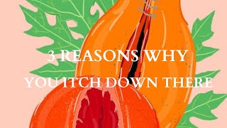 3 REASONS WHY YOUR VAGINA ITCHESVULVA ITCH SYMPTOMS amp TREATMENTS [upl. by Sacksen382]