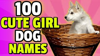 100 Cute Names For A Girl Dog 🎀  Female Dog Names [upl. by Wearing]