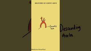 Branches of Aortic Arch  Aortic Arch Branches anatomy [upl. by Aidnic]