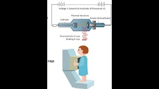 Lect no 102 MRI physicsFRCR Physics [upl. by Claudetta]