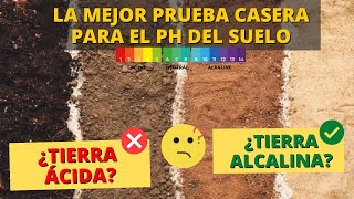 EL MEJOR Y MÁS FÁCIL TEST CASERO PARA MEDIR EL PH DEL SUELO  Corregir Tierra Ácida o Alcalina [upl. by Tratner]