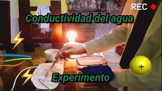 Experimento casero sobre la Conductividad del Agua Explicación CienciaTime [upl. by Nehgam]