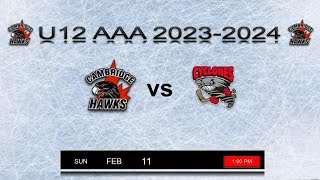 U12 AAA Cambridge Hawks vs ChathamKent Cyclones February 11 2024 [upl. by Gilburt]